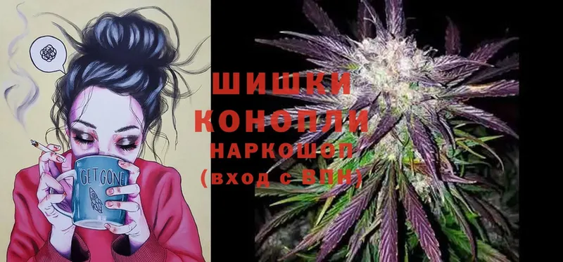 Конопля OG Kush  Карачаевск 